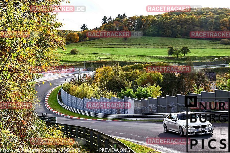 Bild #25568488 - Touristenfahrten Nürburgring Nordschleife (27.10.2023)