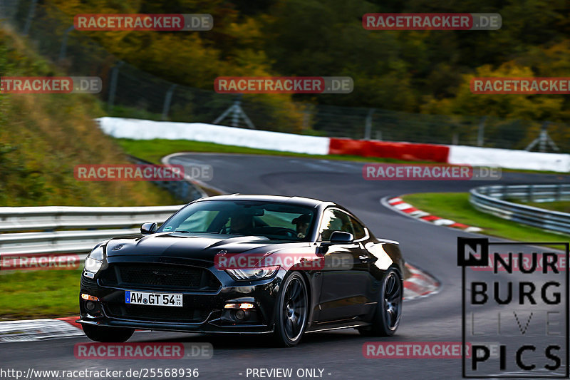 Bild #25568936 - Touristenfahrten Nürburgring Nordschleife (27.10.2023)