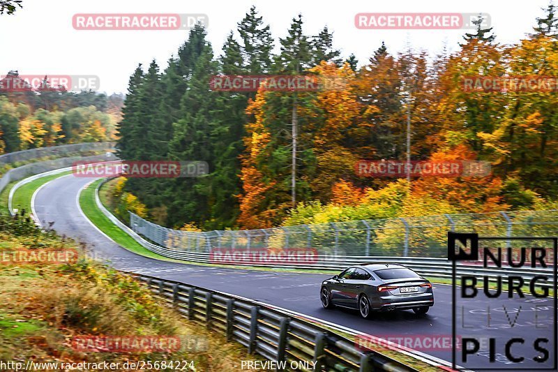 Bild #25684224 - Touristenfahrten Nürburgring Nordschleife (04.11.2023)