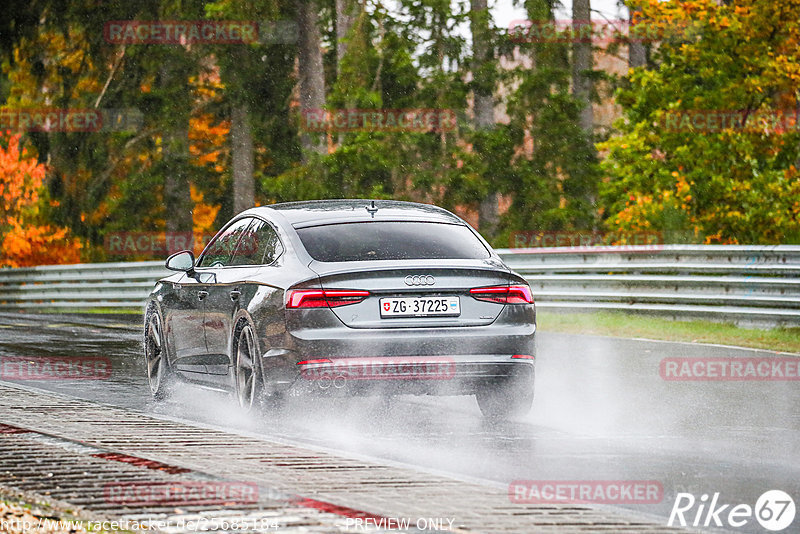 Bild #25685184 - Touristenfahrten Nürburgring Nordschleife (04.11.2023)