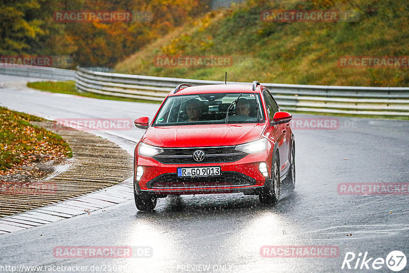 Bild #25686684 - Touristenfahrten Nürburgring Nordschleife (04.11.2023)