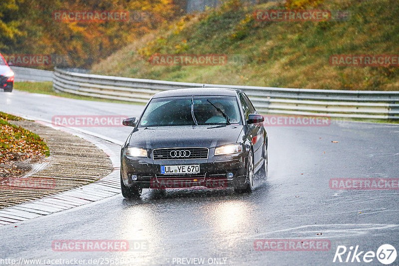 Bild #25686693 - Touristenfahrten Nürburgring Nordschleife (04.11.2023)