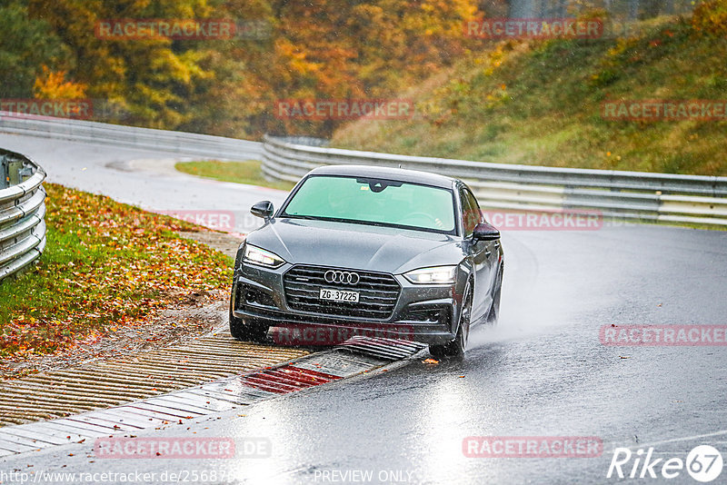 Bild #25687085 - Touristenfahrten Nürburgring Nordschleife (04.11.2023)