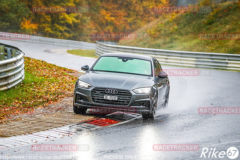 Bild #25687086 - Touristenfahrten Nürburgring Nordschleife (04.11.2023)