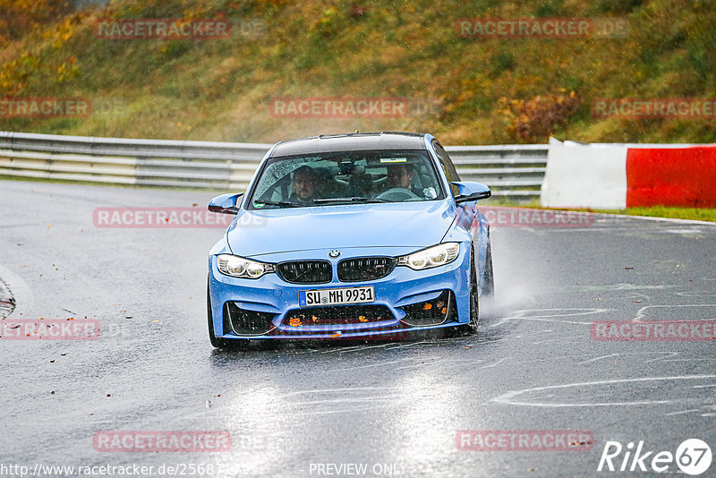 Bild #25687179 - Touristenfahrten Nürburgring Nordschleife (04.11.2023)