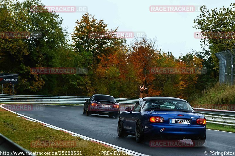 Bild #25688561 - Touristenfahrten Nürburgring Nordschleife (04.11.2023)