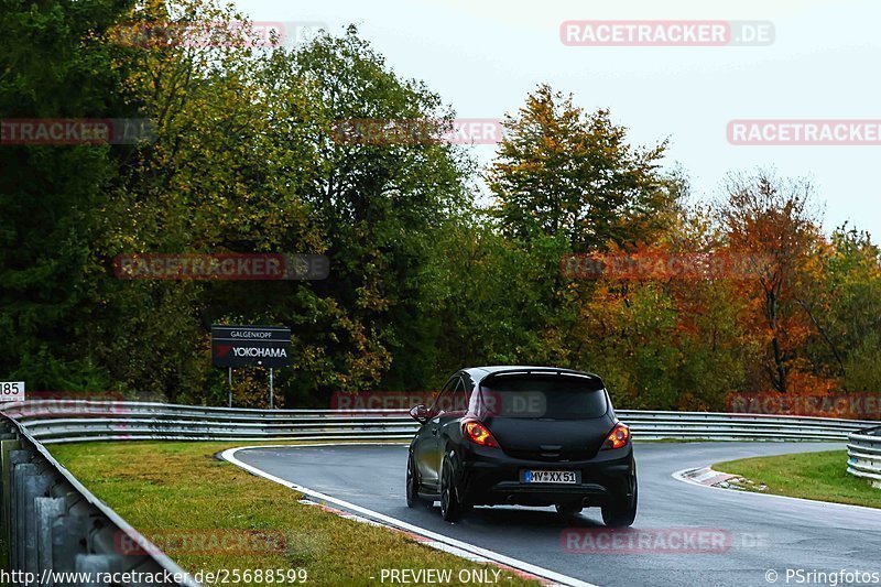 Bild #25688599 - Touristenfahrten Nürburgring Nordschleife (04.11.2023)