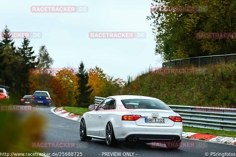 Bild #25688725 - Touristenfahrten Nürburgring Nordschleife (04.11.2023)