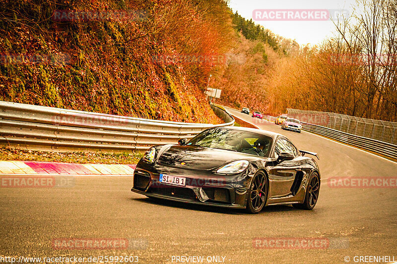 Bild #25992603 - Touristenfahrten Nürburgring Nordschleife (17.03.2024)