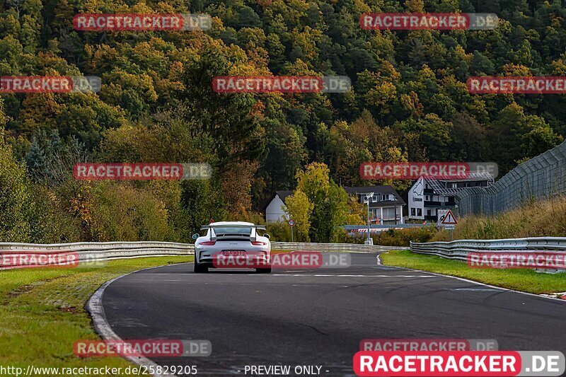 Bild #25829205 - Touristenfahrten Nürburgring test 2024