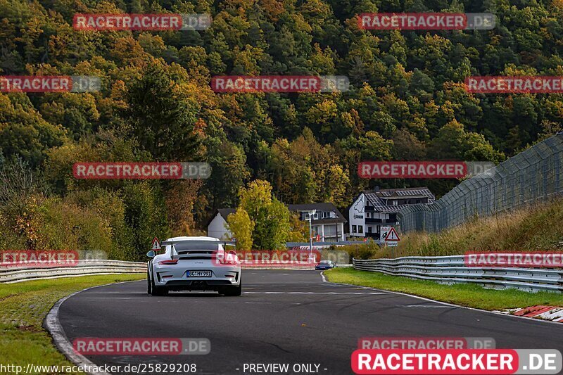 Bild #25829208 - Touristenfahrten Nürburgring test 2024