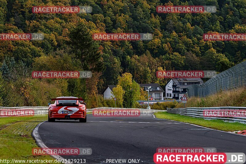 Bild #25829213 - Touristenfahrten Nürburgring test 2024