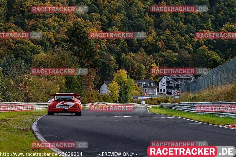 Bild #25829214 - Touristenfahrten Nürburgring test 2024