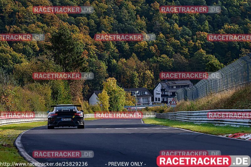 Bild #25829236 - Touristenfahrten Nürburgring test 2024