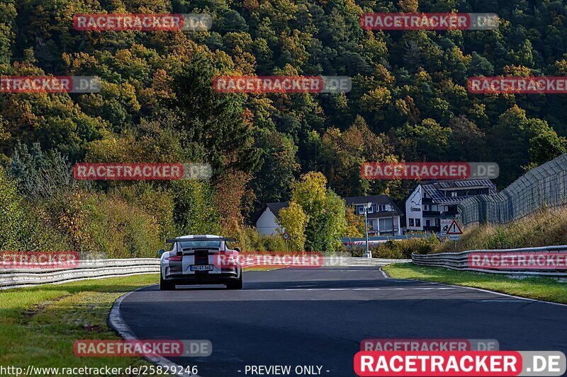 Bild #25829246 - Touristenfahrten Nürburgring test 2024