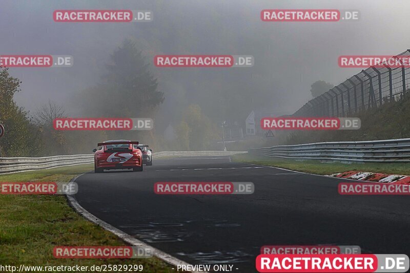 Bild #25829299 - Touristenfahrten Nürburgring test 2024